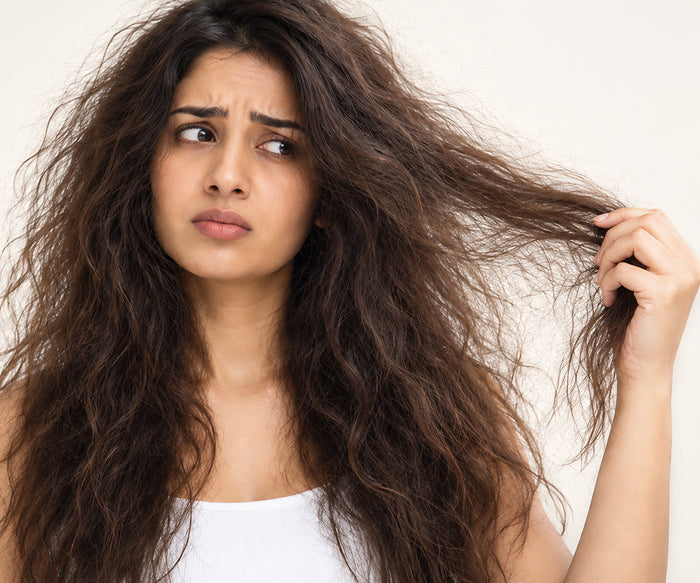 Frizz.jpg__PID:bcd0e063-7527-4c92-95e1-30ec80a3e253